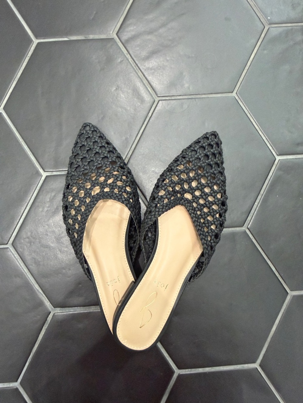Joie Black Woven Pointed-Toe Slip-On Mules